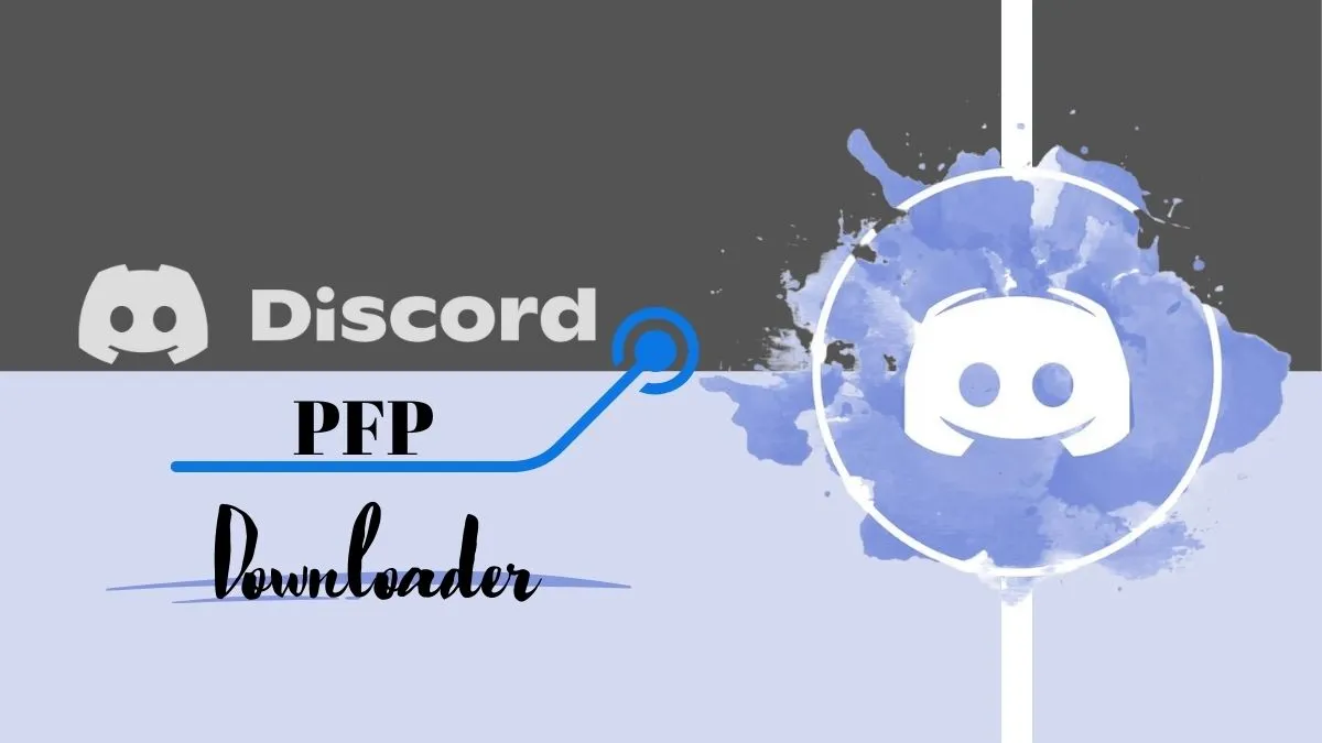 Discord PFP Viewer & Grabber